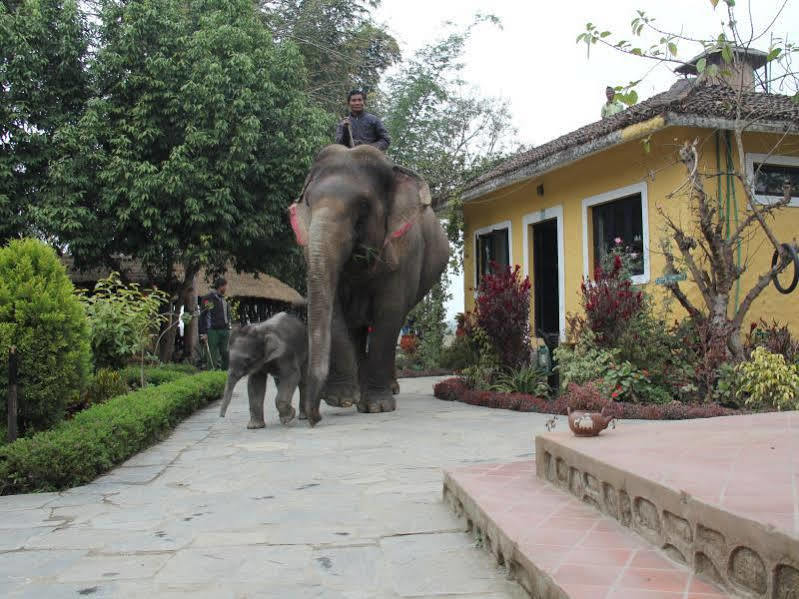 Hotel Sapana Village Lodge Chitwan Exterior foto